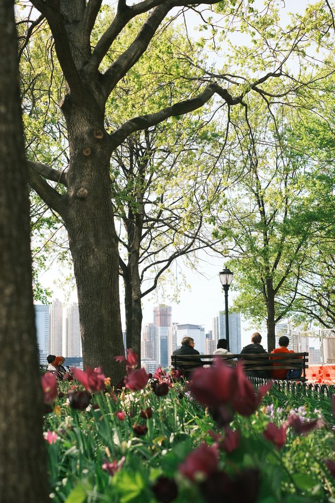 Nelson A. Rockefeller Park