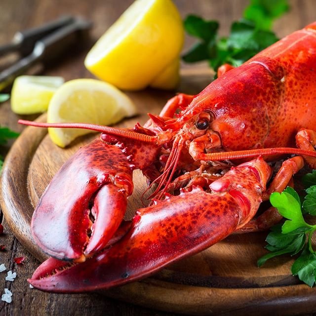 PEPPER’S LANDING Updated September 2024 58 Photos & 77 Reviews