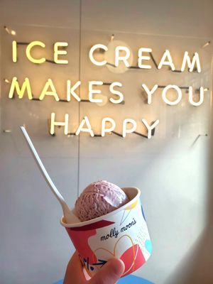 Molly Moon's Homemade Ice Cream Redmond by null