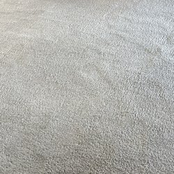 Living room carpeting!