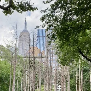 Madison Square Park - Parks Near Me - New York, New York Madison Square Park - Parks Near Me - New York, New York