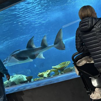 Seattle Aquarium - Aquariums Near Me - Seattle, Washington