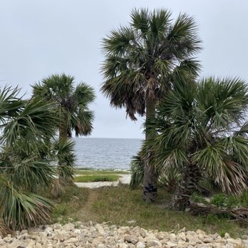 St Marks National Wildlife Refuge - Mar, 2025. - Parks Near Me - Saint Marks, Florida