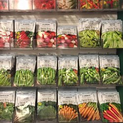The Gathering Place - Irish Eyes Seeds, Non GMO