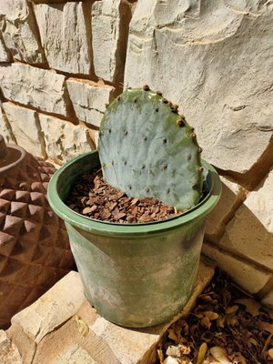 BOB SCOTT NURSERY - Updated December 2025 - 13 Photos - 10116 W