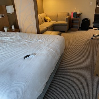 Hyatt Place Augusta - king bed w sofa sleeper - Hotels Near Me - Augusta, Georgia