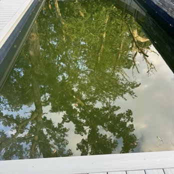 BP2 Construction - Green pond that was supposed to be my pool. Just in time for 4th of July. - Decks & Railing Near Me