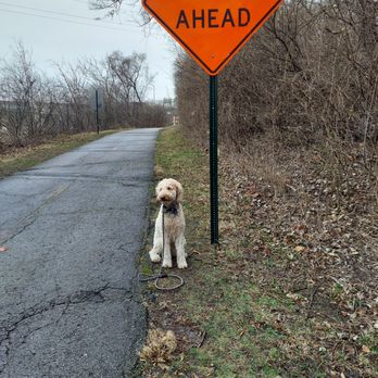 Pixie's Pupperoni Services - Dog Walkers Near Me