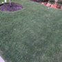 Photo of Greentex Lawns