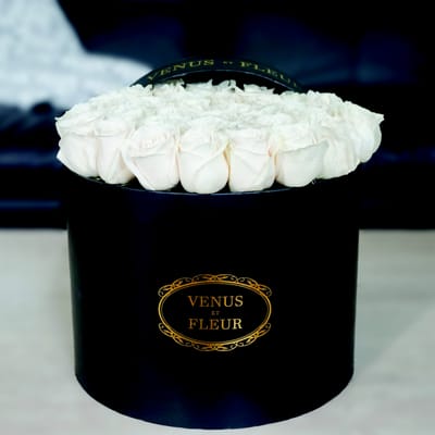 Venus et Fleur- Oculus World Trade Center Boutique by null