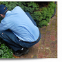 Photo of Alliance Pest Control