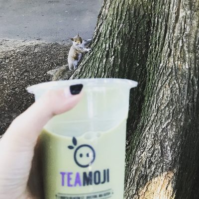 TeaMoji Boston by null
