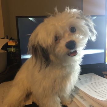 Pet Fair - Pet Stores Near Me - Spring, Texas