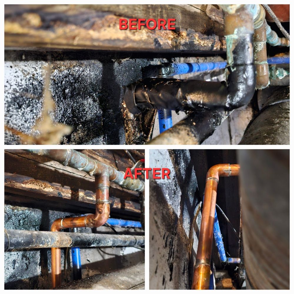 Slide of The Worker Bee