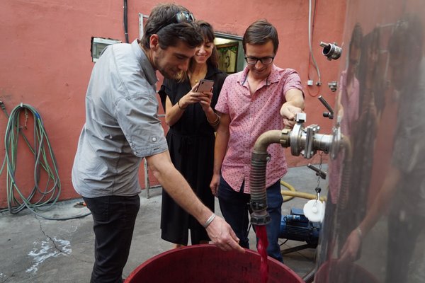 Rioja Wine Tours by null