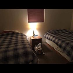 Spring Creek Resort - What we got.