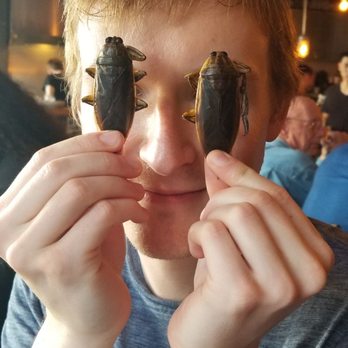 Nue - Water beetles - Tapas/Small Plates Near Me - Seattle, Washington Nue - Water beetles - Tapas/Small Plates Near Me - Seattle, Washington