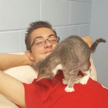West Valley Humane Society - Animal Shelters Near Me - Caldwell, Idaho West Valley Humane Society - Animal Shelters Near Me - Caldwell, Idaho
