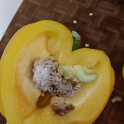 Winn-Dixie - The moldy inside of the pepper I bought today that looked perfectly fine on the outside. Gross!