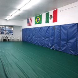 Brazillian Jiu-jitsu Self Defense Academy