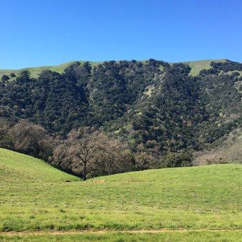 Pleasanton Ridge Regional Park - This is the time of year to go-lots of green - Parks Near Me - Pleasanton, California