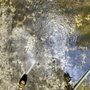 Photo of Garvin's Pressure Washing