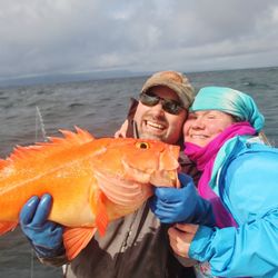 Kingfisher Charters & Lodge - Yelloweye rockfish