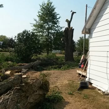 Wever's Tree Service - Tree Services Near Me - Boring, Oregon Wever's Tree Service - Tree Services Near Me - Boring, Oregon