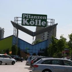 Pflanzen-Kölle