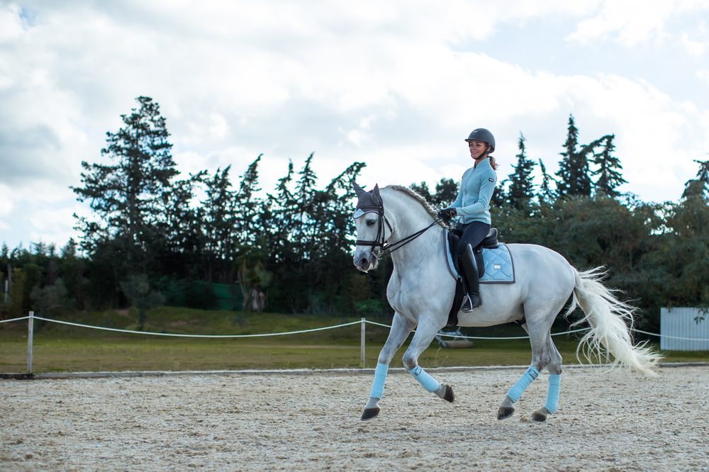 CHESHIRE EQUESTRIAN CENTER 13 Photos 116 S Main St, Cheshire, CT Yelp