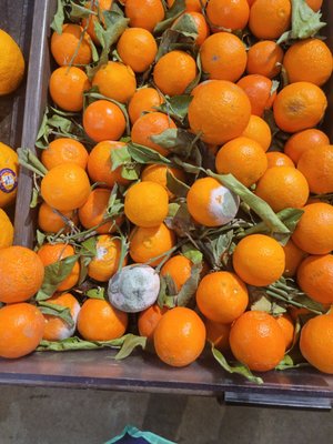 FRED MEYER - Updated January 2025 - 26 Photos & 82 Reviews - 12906