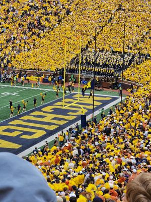 Michigan Stadium by null