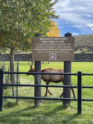 Roosevelt Arch by null