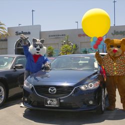 Selma Mazda