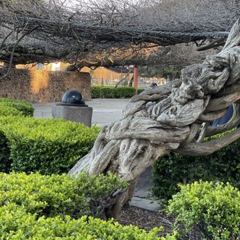 Central Park - Central Park, Santa Clara,  California - Parks Near Me - Santa Clara, California