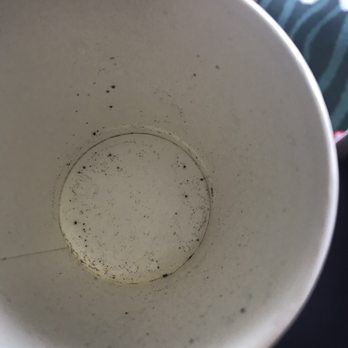 Ocean Park Inn - Moldy water in the keurig. I forgot to take a picture before I dumped the water. Yummy black chunks for free. - San Diego, CA
