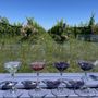Photo of Southbrook Vineyards