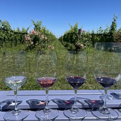 Southbrook Vineyards