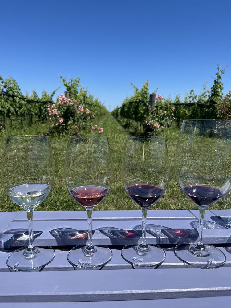 Southbrook Vineyards Logo