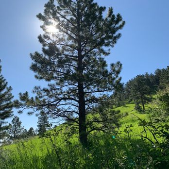 Chautauqua Park - Parks Near Me - Boulder, Colorado
