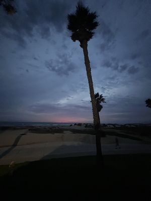 Zachari Dunes on Mandalay Beach, Curio Collection by Hilton by null