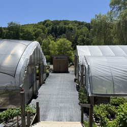 Pisarcik Flower Farm