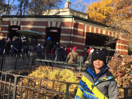 Central Park Carousel by null