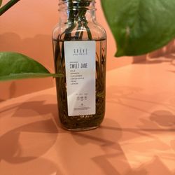 The Grove Juicery - Elkhorn - Plant decor
