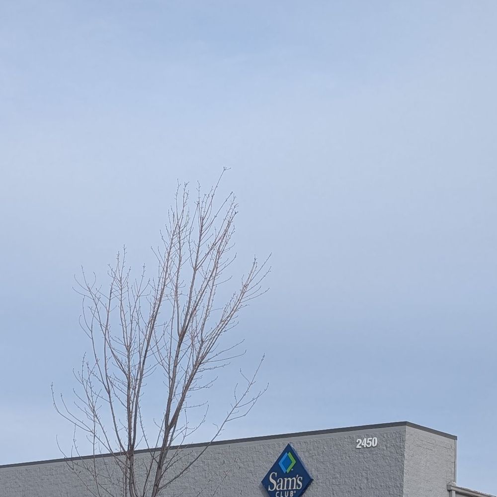 TOP 10 BEST Cigarette Delivery in Evanston, IL - Updated 2026 - Yelp