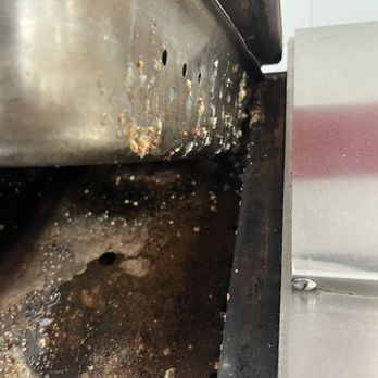 Firehouse Subs - Mold - Sandwiches Near Me - Casselberry, Florida