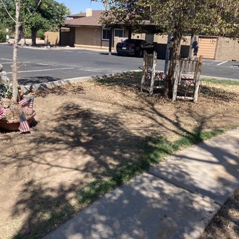 Vision Community Management - Dead turf - Property Management Near Me - Phoenix, Arizona