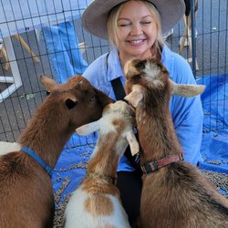 Goat It Solutions