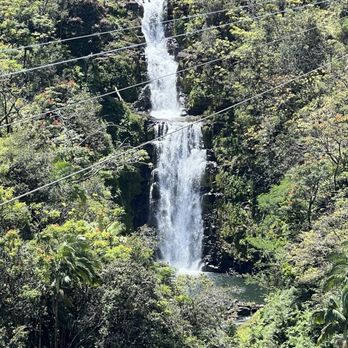 Botanical World Adventures - Botanical Gardens Near Me - Hakalau, Hawaii