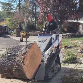 CBC Tree Services Inc - We got all the equipment needed for your tree services and called us today, 925-222-9193 - Tree Services Near Me